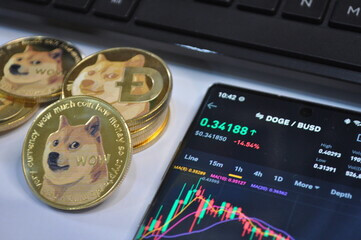 can i invest in dogecoin